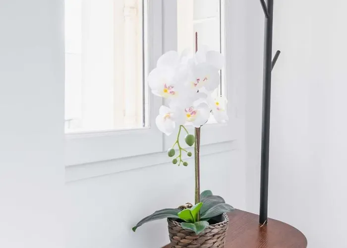 Fonctionnel Et Confortable - 10 - 2p - Flat-guest Paris